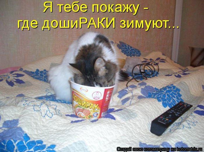 Мысли вслух :)
