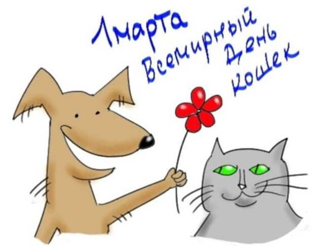 собака-и-кошка
