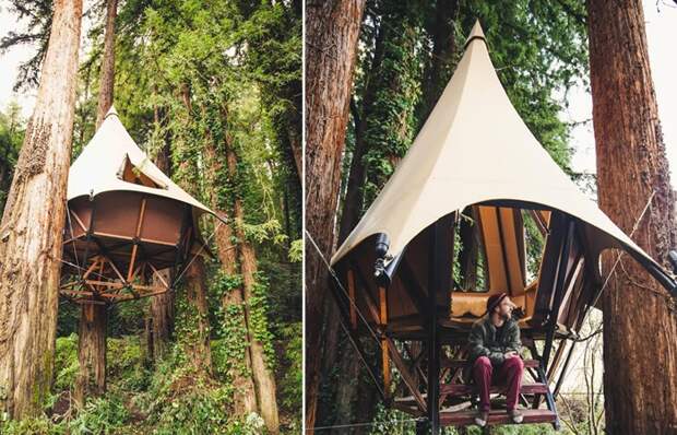 Палатка на дереве, обеспечивающая потрясающий отдых на высоте 6 метров