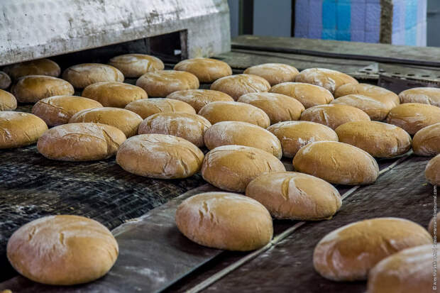 Любопытное о выпекании хлеба