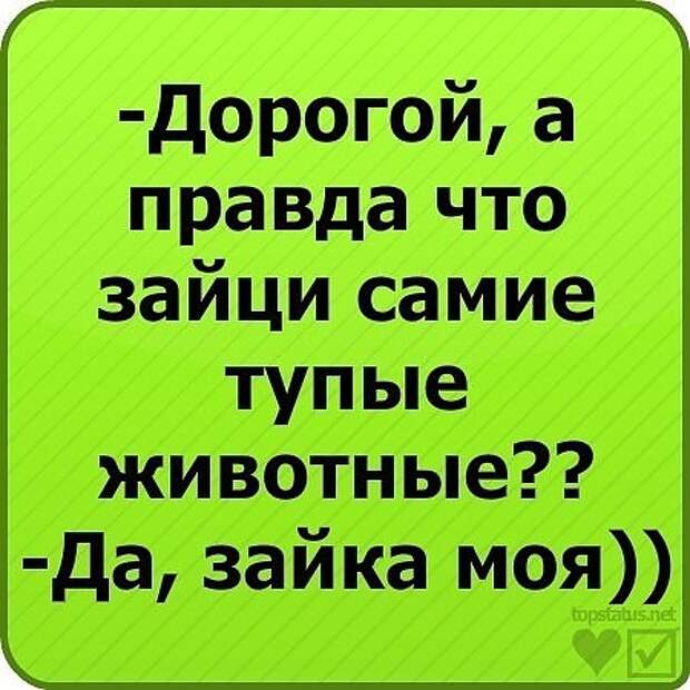 3416556_image_6 (450x450, 63Kb)