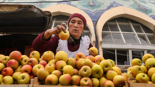 Владимир Путин похвалил фрукты из Узбекистана