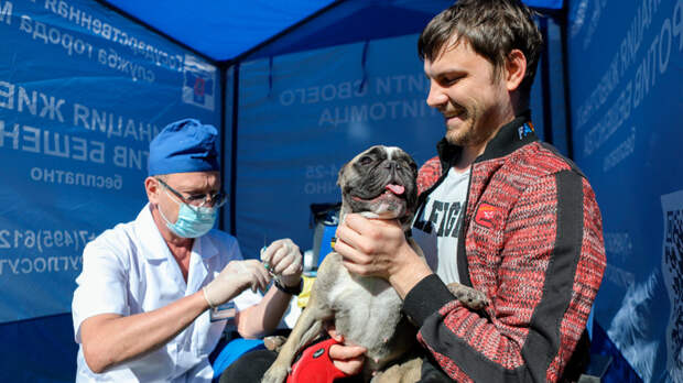 Более 1,2 тыс. пунктов бесплатной вакцинации питомцев откроют в Москве с наступлением тепла