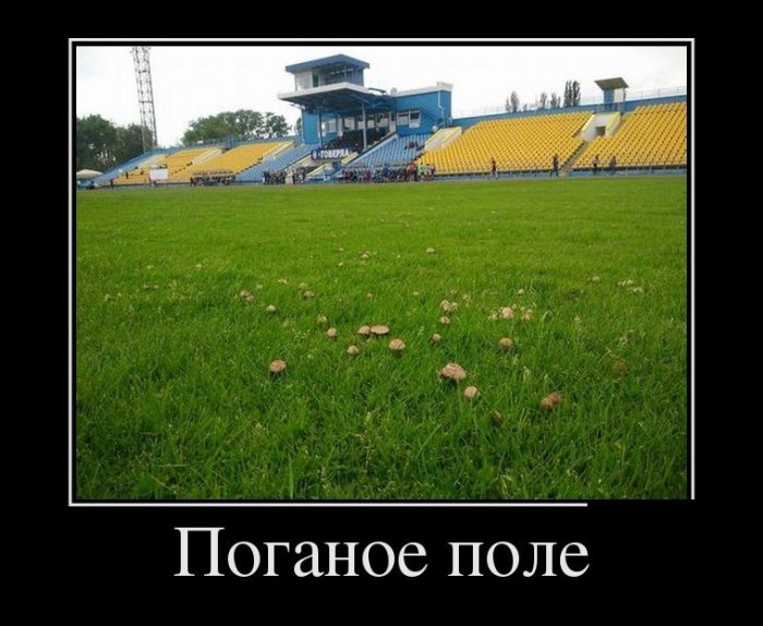 Демотиваторы (30 фото)