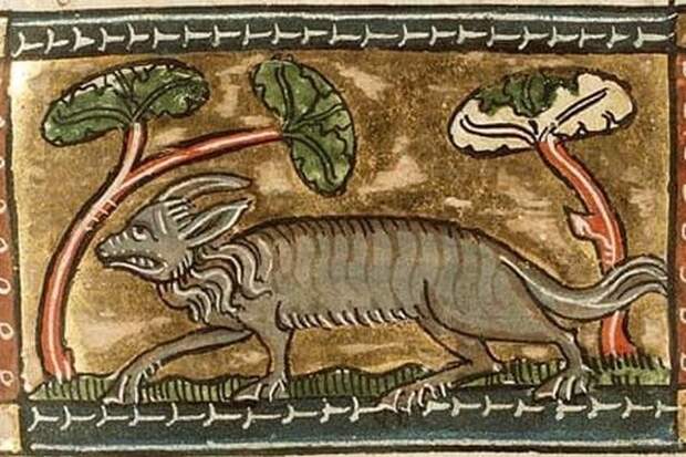 Попробуйте угадать животных на рисунках средневековых художников