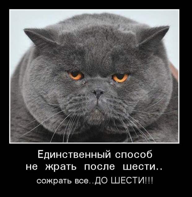 Демотиваторы (30 фото)
