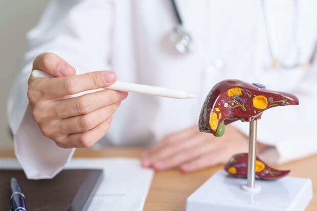 MNFR: добавка с растворимой клетчаткой может усугублять ожирение печени