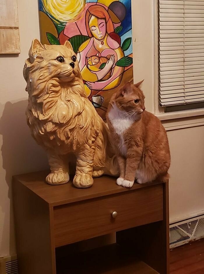 "Находка за $4,99. Рядом с ней кот по кличке Наггет. Мы нашли его в цветочном горшке, на тот момент котенку не было и недели"