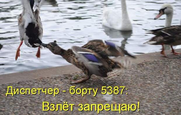 Мысли вслух :)