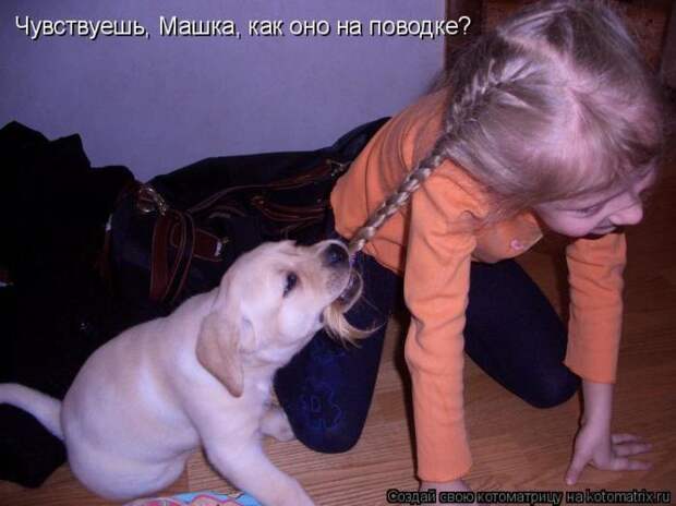 Мысли вслух :)