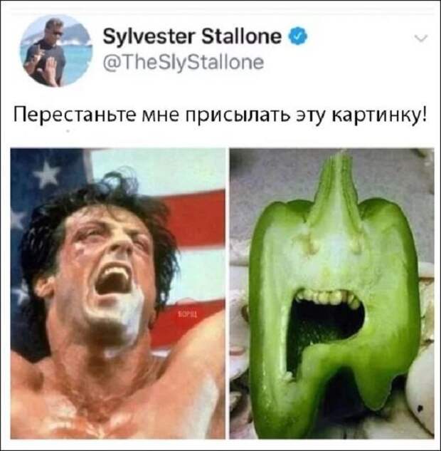 Смешные комментарии из социальных сетей Смешные комментарии из социальных сетей