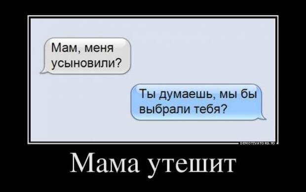 3.  Анекдоты, девушки, демотиваторы, животные, прикол, юмор