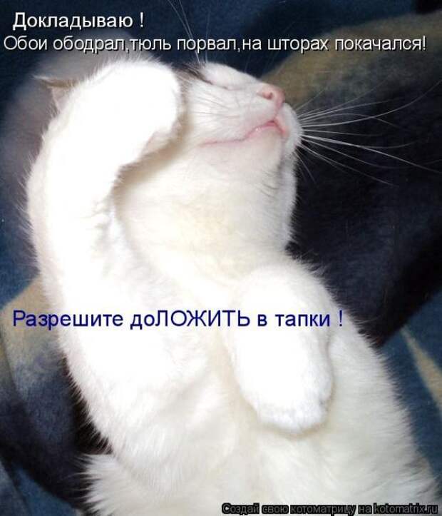 Мысли вслух :)