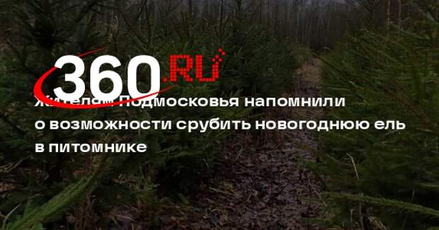Жителям Подмосковья напомнили о возможности срубить новогоднюю ель в питомнике