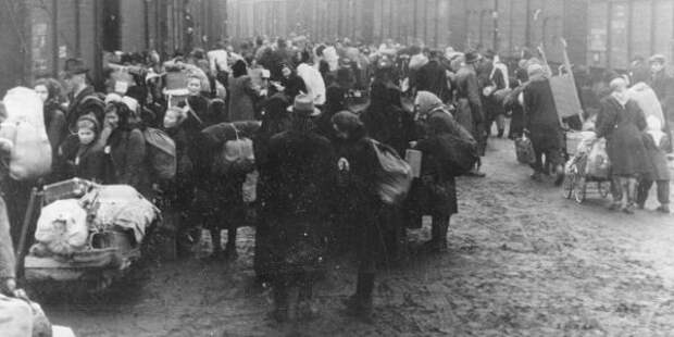 Это вам не добренький Сталин. Это депортация по-европейски