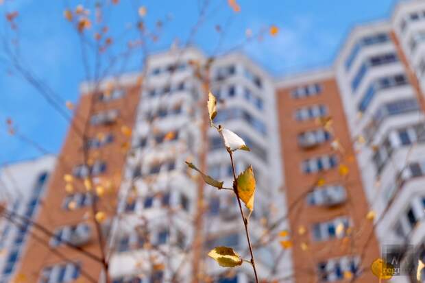 Синоптики 29 апреля прогнозируют дождь и до +5 градусов в Москве