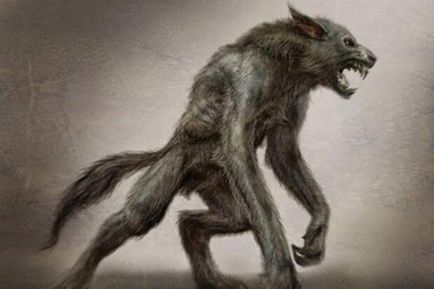 7. Жеводанский зверь мифические существа, мифология, монстры, существа