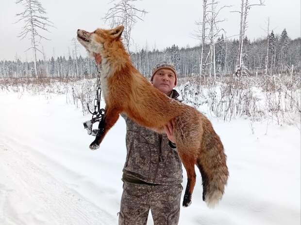 Попробуй такого поймай