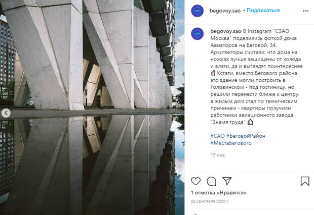 Фото дня: зеркальная сороконожка
