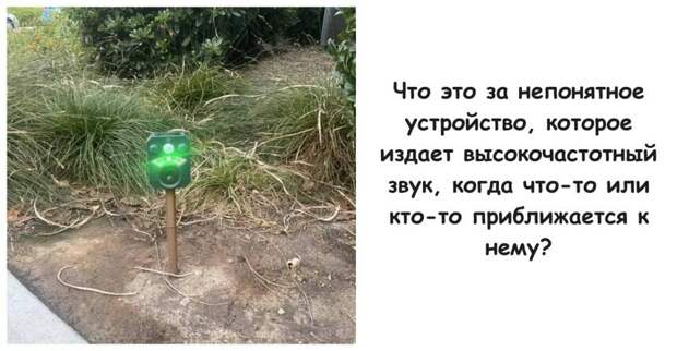 15 вещей, о которых мы бы и не знали, если бы не находки других людей