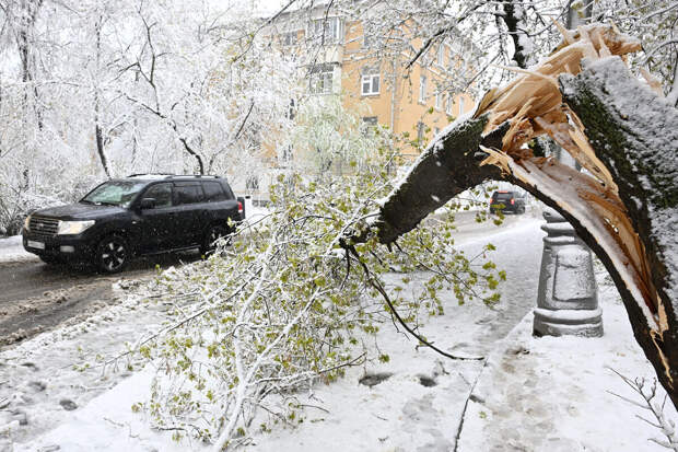 Синоптик Леус: в Москве сформировались сугробы высотой 12 сантиметров