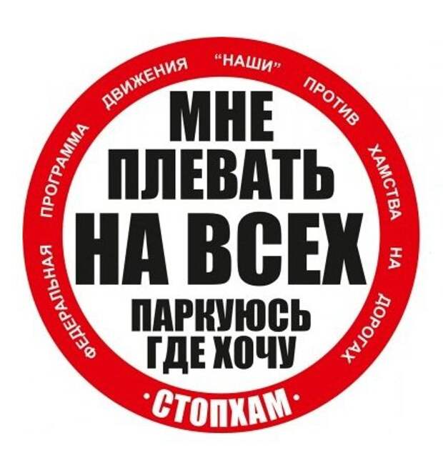 Мосгорсуд ликвидировал общественное движение «СтопХам»