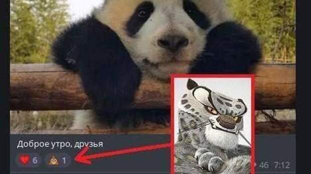 14 картинок недели и потерявшийся наушник