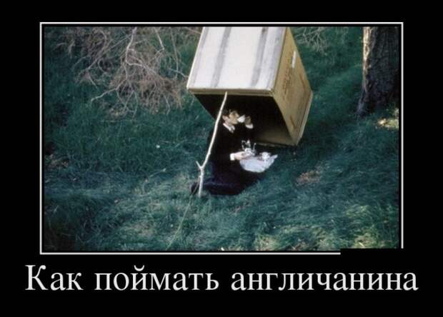 Демотиваторы (30 фото)