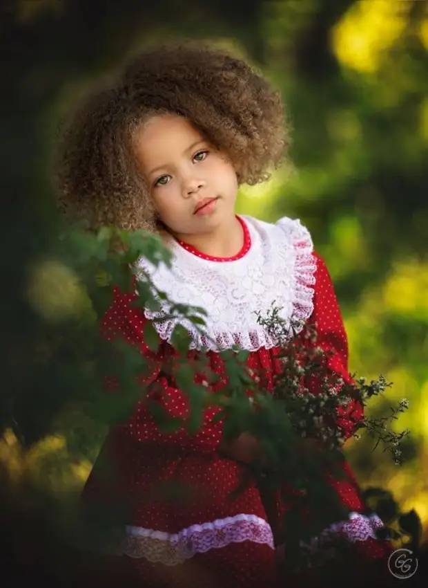 �������������� ������������ �����