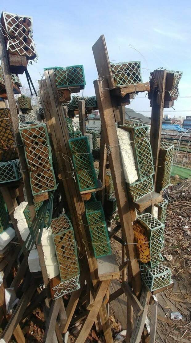 Пользователи сети спрашивают о предназначении занимательных вещиц