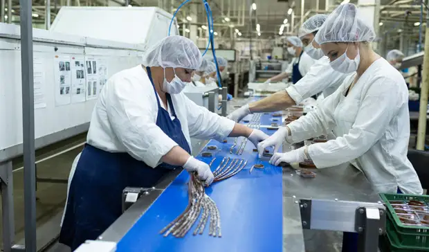 Время перемен: эксперты дают советы, как найти работу