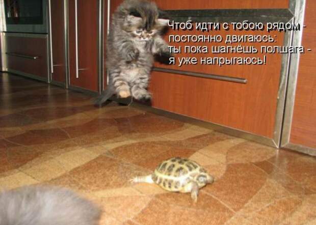 Мысли вслух :)