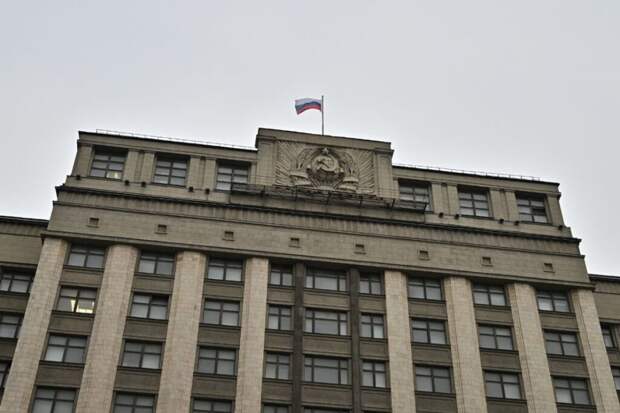 В ГД предложат выдворять из России семьи мигрантов, совершивших преступление