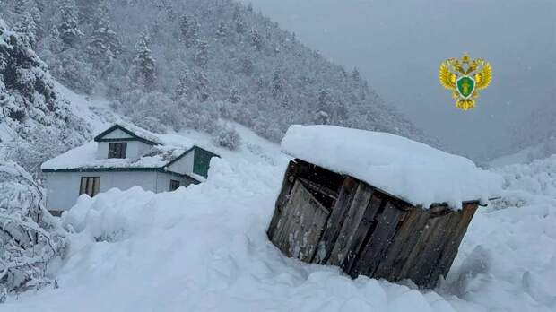 В Дагестане спасли мать с ребенком, которых накрыло лавиной