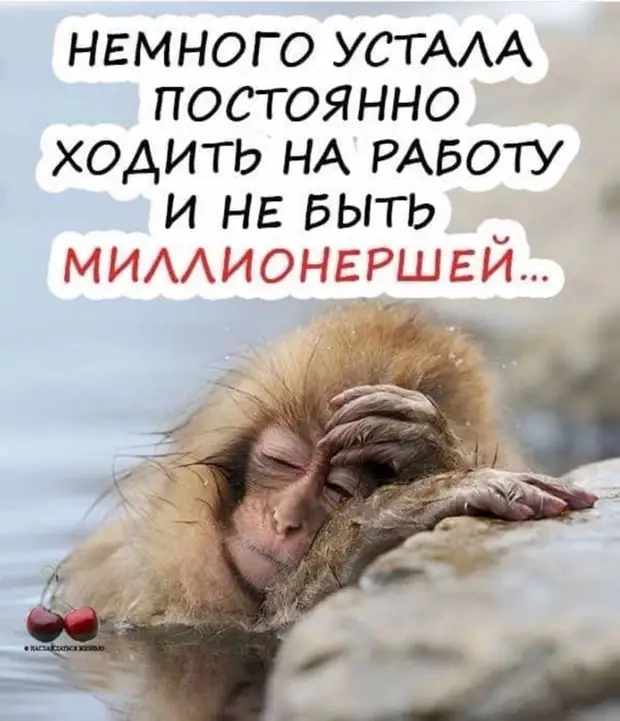 Хорошо воспитанная девушка не ругается матом, она умеет матом смотреть