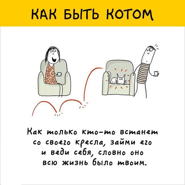 как правильно быть котом