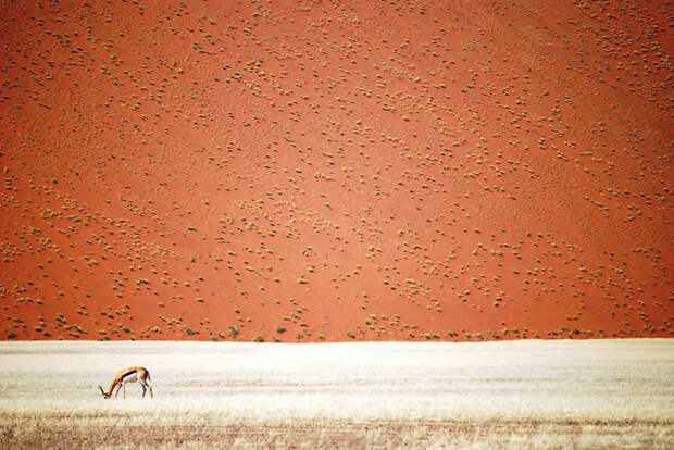 5. Намибийская пустыня, Намибия national geographic, вокруг света, природа, фотография