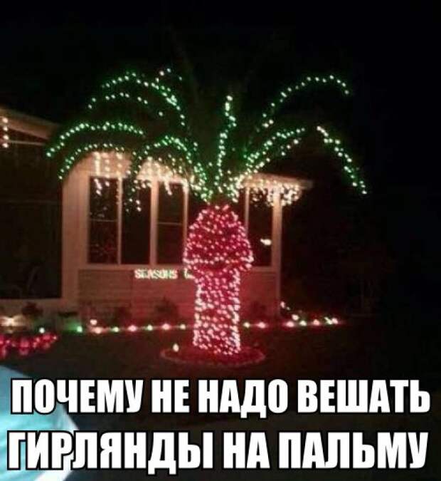 zKnZNLi0ii4