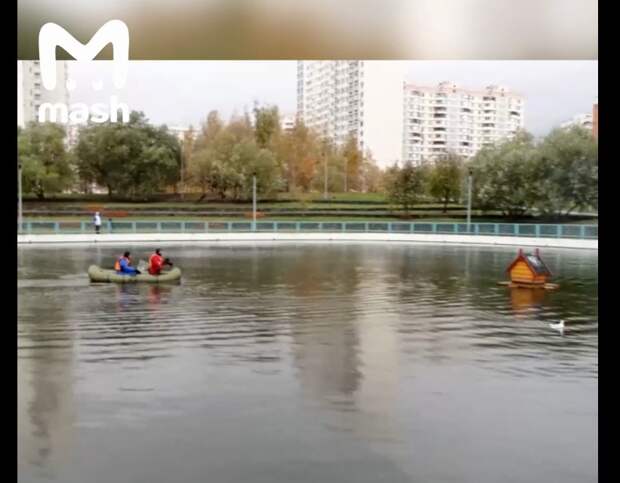 Житель Марьина спас раненую чайку