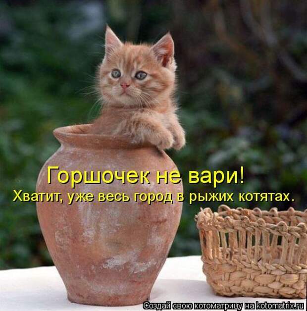 Мысли вслух :)