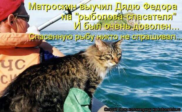Лучшая котоматрица за неделю (32 фото)