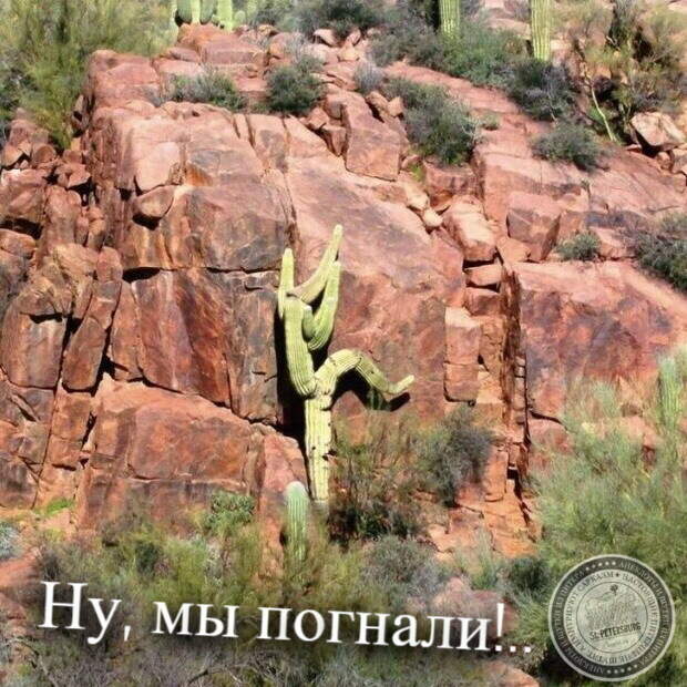 Ну, мы погнали