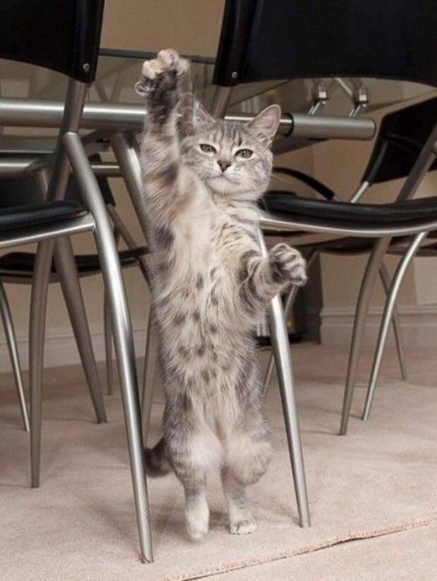 Давайте улыбаться вместе! :) (31повод)