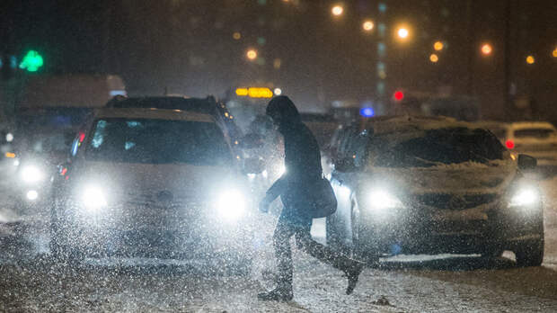 В МЧС Москвы предупредили об усилении ветра и снеге