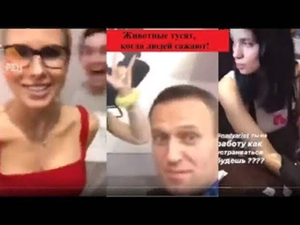 https://yandex.ru/images/search?text=соболь%20на%20вечеринке%20наколок&lr=119829&pos=3&img_url=https%3A%2F%2Fsun3-13.userapi.com%2Fc855416%2Fv855416175%2Fe3c00%2Fvwp8bPPnSqU.jpg&rpt=simage