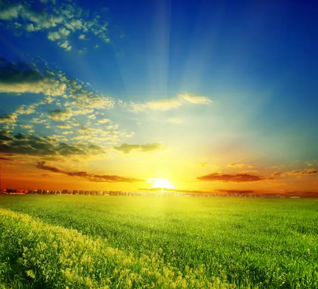 Тест-картинка: какой у вас тип личности?