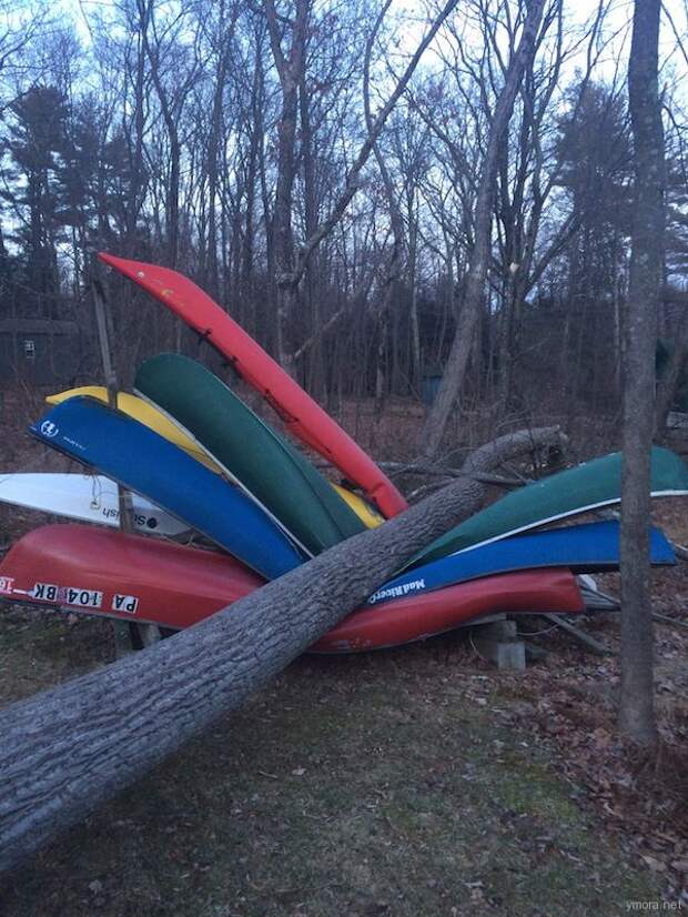 0_18ebdd_73429e5a_orig-1