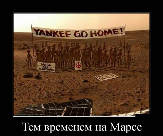 Демотиваторы (30 фото)