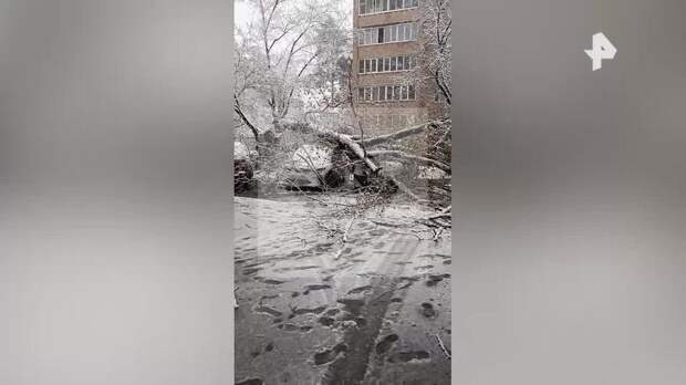 Оранжевый уровень погодной опасности объявлен в Москве и Подмосковье