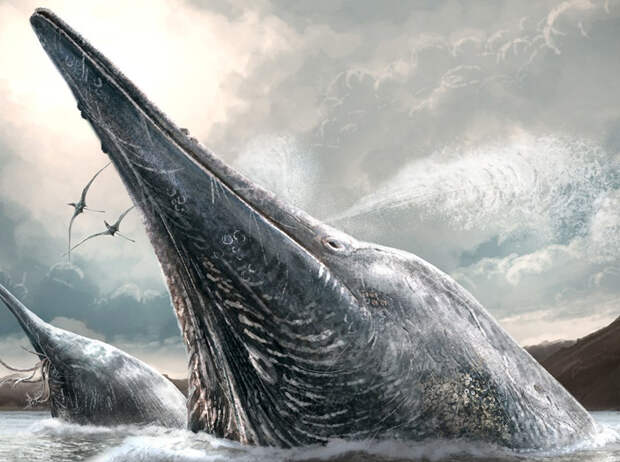 Shonisaurus sikanniensis